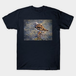 Turnstone T-Shirt